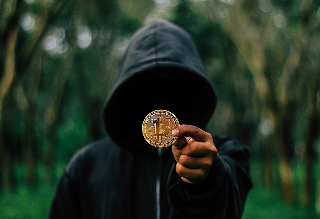 Meanwhile比特币寿险获4000万美元融资！Framework Ventures与Fulgur Ventures共同领投